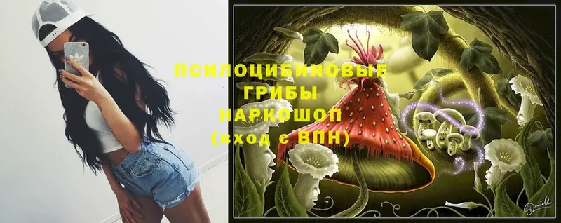 Псилоцибиновые грибы мицелий  как найти наркотики  Нестеров 